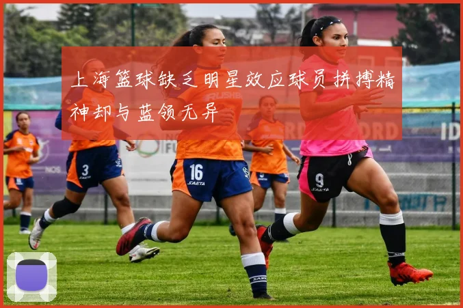 上海篮球缺乏明星效应球员拼搏精神却与蓝领无异